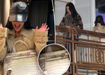 Kylie Jenner takes her $500K bag to dinner at strip mall sushi hot spot