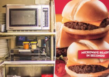Fast-food chain Steak ‘n Shake to ban all microwaves from restaurants to ‘improve food quality’
