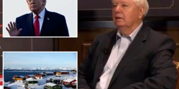 Lindsey Graham’s message to Europeans ‘nervous’ about Trump: ‘Who gives a s–t who owns Greenland?’