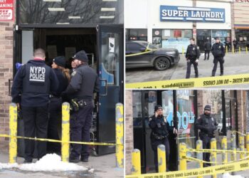 Two men shot in  head during fights in NYC: NYPD