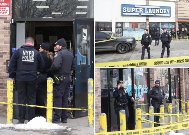 Two men shot in  head during fights in NYC: NYPD