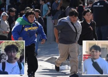 Far-left activists radicalizing high school kids to take on ICE as young suspects in agent attack pictured