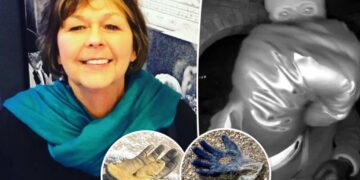 Multiple additional gloves found near Nancy Guthrie’s house where FBI found potential evidence