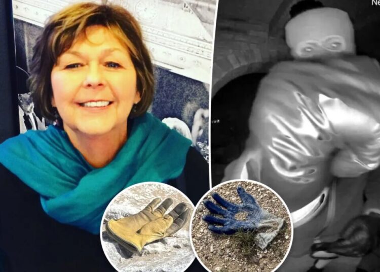 Multiple additional gloves found near Nancy Guthrie’s house where FBI found potential evidence