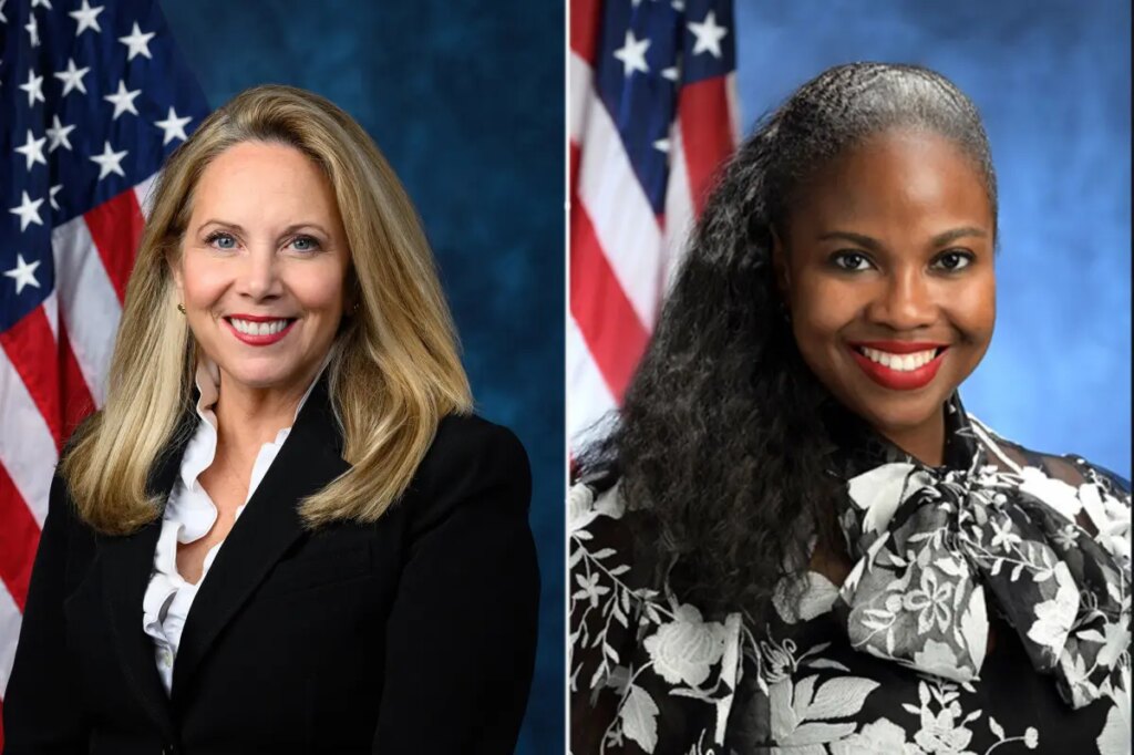 Long Island Rep Laura Gillen faces uphill battle in primary after voting for ICE funding