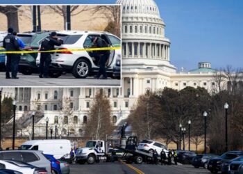 Police arrest Georgia man, 18, who charged US Capitol building wearing tactical vest, holding loaded shotgun