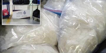 Canadian officials seize nearly 600 pounds of suspected methamphetamine at US border