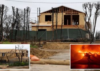 Eye-popping figure needed to save Pacific Palisades after apocalyptic wildfire