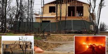 Eye-popping figure needed to save Pacific Palisades after apocalyptic wildfire