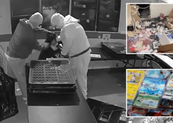 Pokémon bandits tunnel into LA shop and make off with nearly $200K in cards