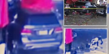 Shocking video shows driver plowing into flower stand in DTLA