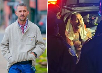 Shia LaBeouf hit with new warrant relating to Mardi Gras arrest: report