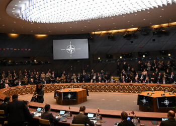 NATO Remains Vital to U.S. Security, Ex-Ambassadors and Generals Say