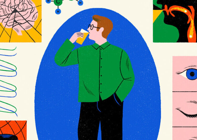 What Alcohol Does to the Body