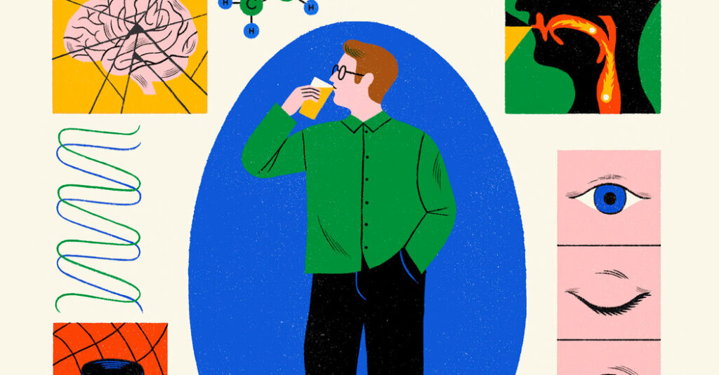 What Alcohol Does to the Body