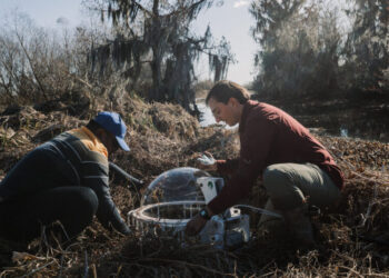 Methane Hunters Track Swamp Gas That Is Driving Climate Warming