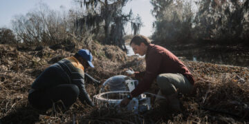 Methane Hunters Track Swamp Gas That Is Driving Climate Warming