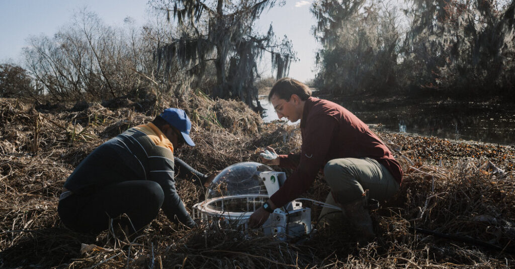 Methane Hunters Track Swamp Gas That Is Driving Climate Warming