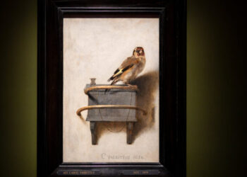 Looking at ‘The Goldfinch,’ and Thinking About Extinction