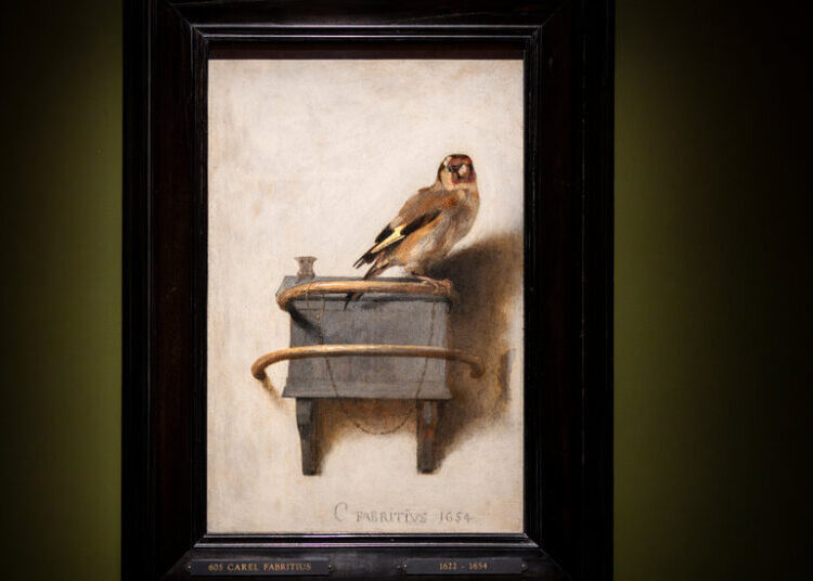 Looking at ‘The Goldfinch,’ and Thinking About Extinction