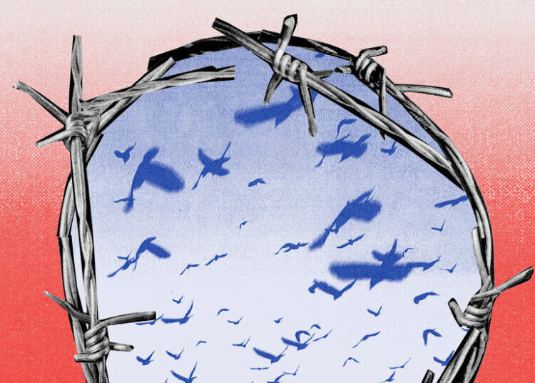 Mass Detention Gets a Lift From the Courts