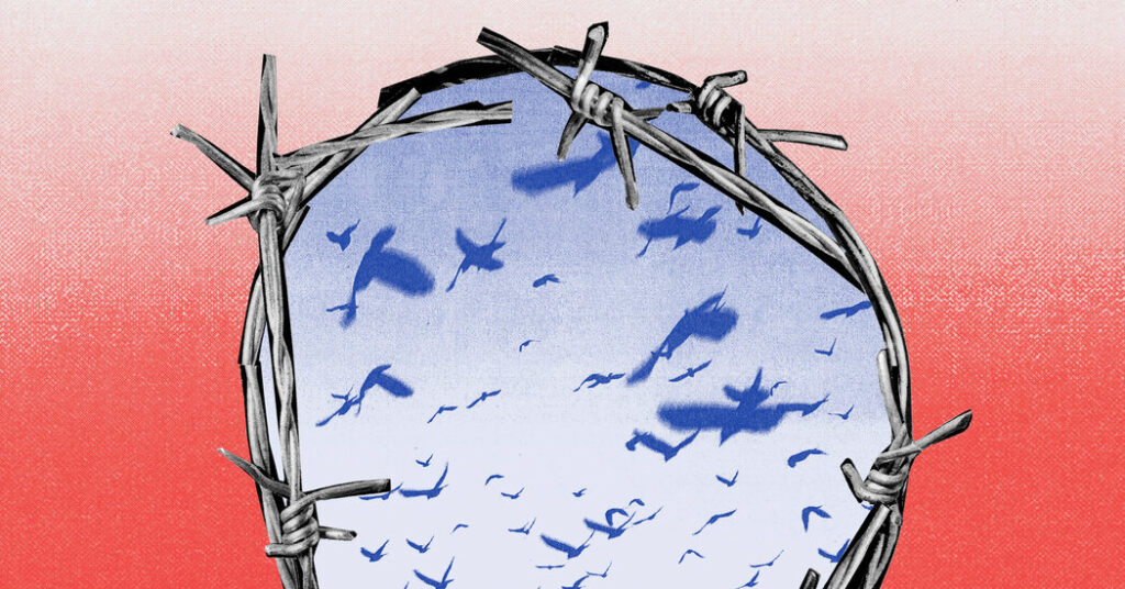 Mass Detention Gets a Lift From the Courts