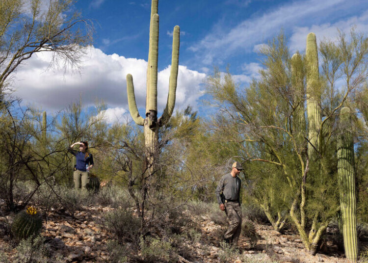 Tips Flood In, Prompted by Video of Suspect in Guthrie Kidnapping