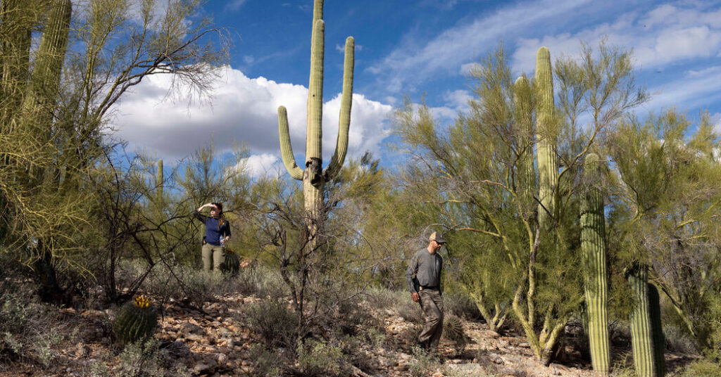 Tips Flood In, Prompted by Video of Suspect in Guthrie Kidnapping