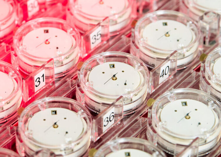 Swiss Watch Precision Guardian Tightens Its Criteria