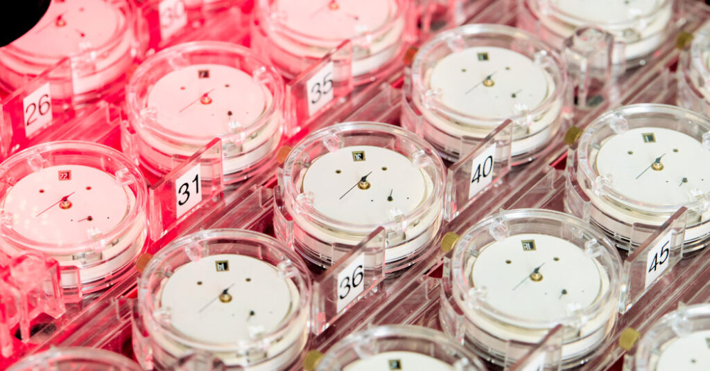 Swiss Watch Precision Guardian Tightens Its Criteria