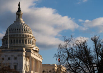 Congress Jets Off as D.H.S. Shuts Down