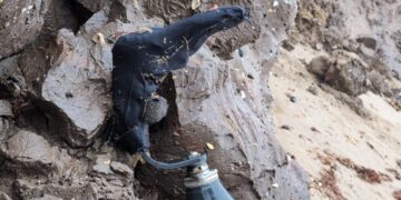 The Sea Took Her Prosthetic Leg. Months Later, It Gave It Back.