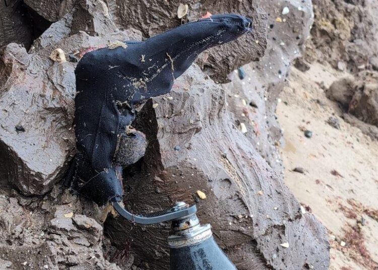 The Sea Took Her Prosthetic Leg. Months Later, It Gave It Back.