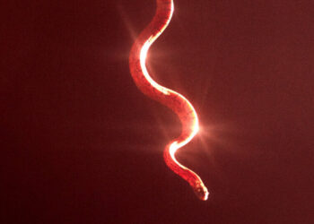 It’s Not Wholesome. It’s Not Healthy. But ‘Wuthering Heights’ Is Incredibly Romantic.