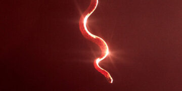 It’s Not Wholesome. It’s Not Healthy. But ‘Wuthering Heights’ Is Incredibly Romantic.