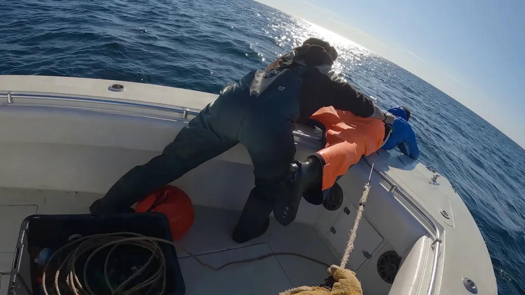 Great white sharks are selective about where they travel, he added — tending to move through areas with abundant marine life.