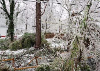What the Ice Storm Did to Mississippi