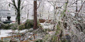 What the Ice Storm Did to Mississippi