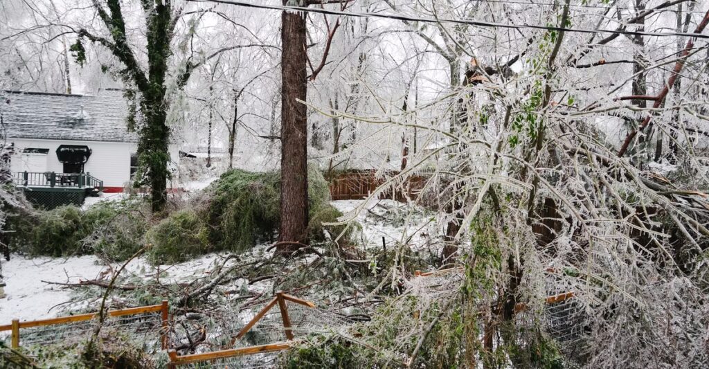 What the Ice Storm Did to Mississippi