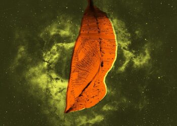 Galactic Monsters Grew in Cocoons Like Giant Bugs, Scientists Say