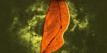 Galactic Monsters Grew in Cocoons Like Giant Bugs, Scientists Say