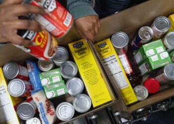 How NGOs Took Over Government