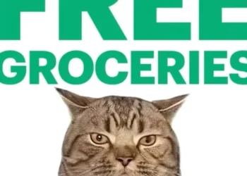 Kalshi gave away $50 in free groceries for 3 hours in New York City. A line 4 blocks long full of students and people on food stamps formed