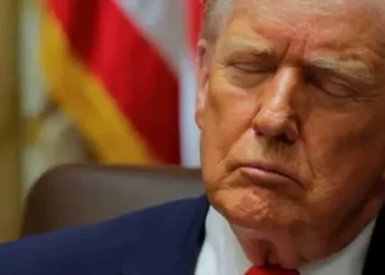 ‘All of this for what?’ WSJ gives Trump a brutal economics lesson