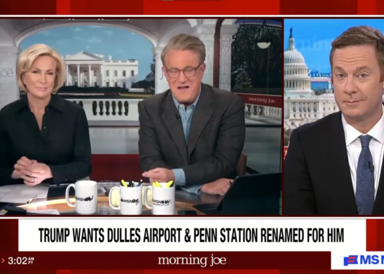 ‘Are you this stupid?’ Morning Joe floored by Trump’s accidental ‘gift’ to Democrats