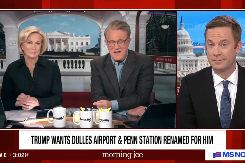 ‘Are you this stupid?’ Morning Joe floored by Trump’s accidental ‘gift’ to Democrats