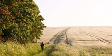 The Payoff of Deep Contemplation