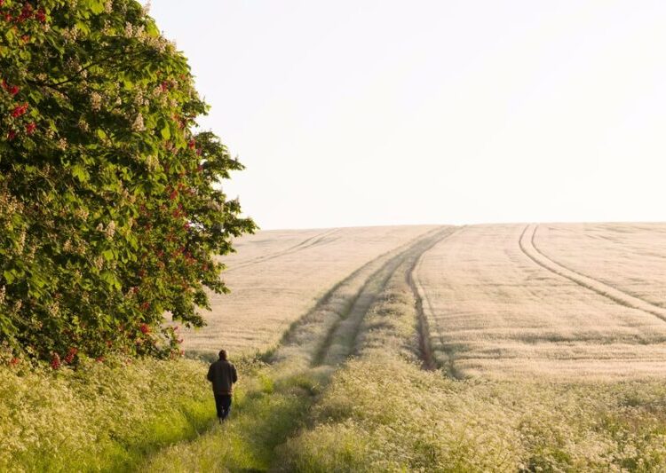 The Payoff of Deep Contemplation