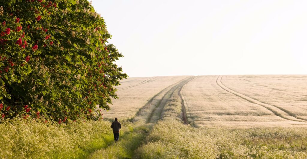 The Payoff of Deep Contemplation