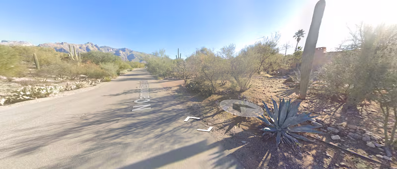 The Google Street View outside Nancy Guthrie’s home, which is on the right, partially obstructed by shrubs and cacti.
